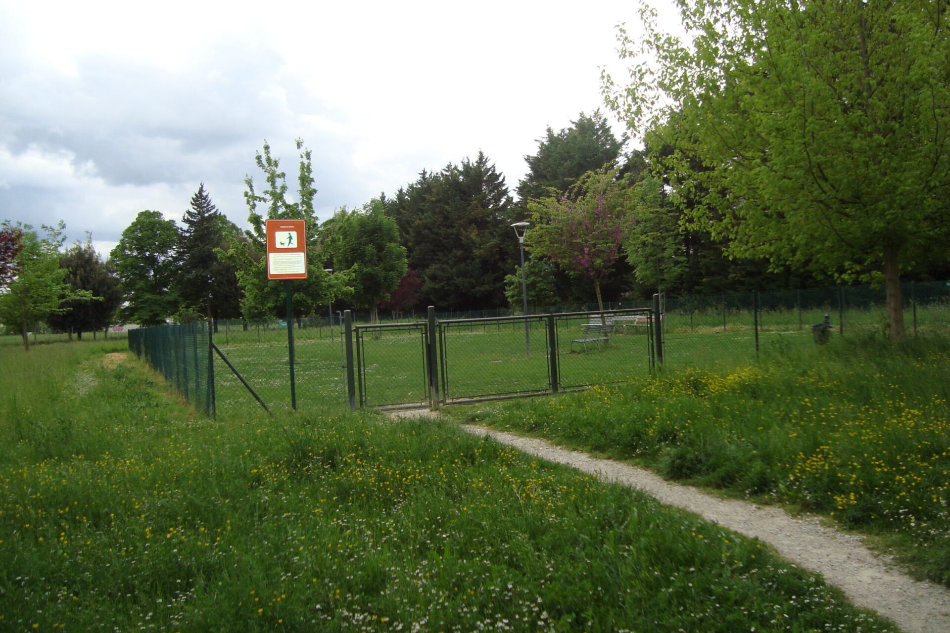 Area cani via Zoli