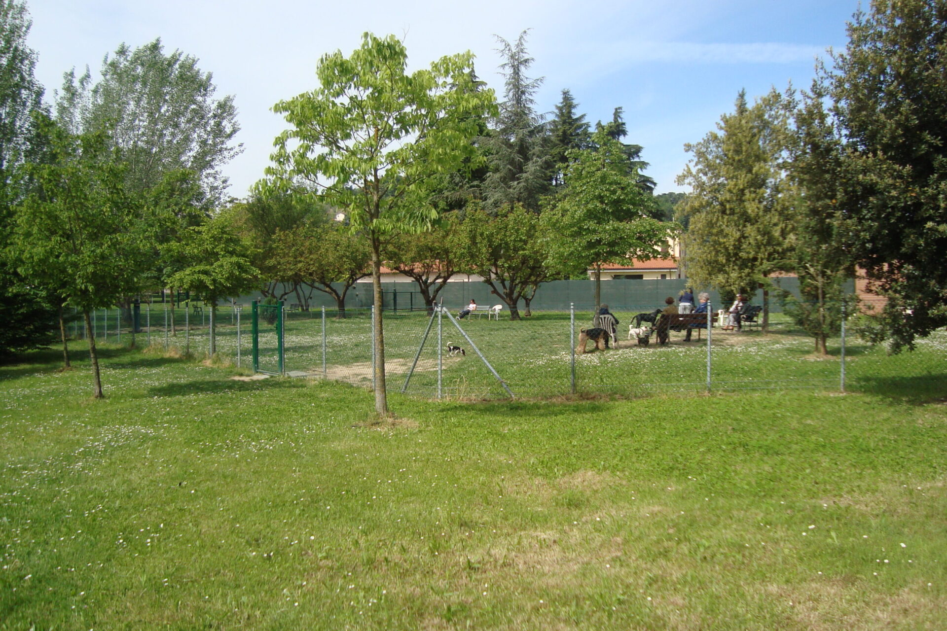 Area cani grande Parco Cesuola