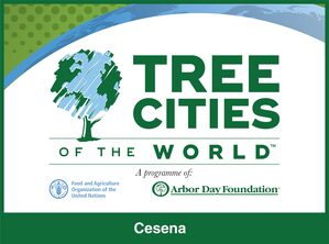 Tree cities